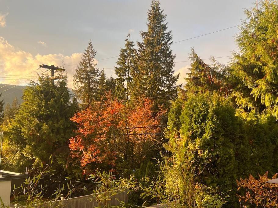 'Canyon Heights' Retreat North Vancouver Buitenkant foto