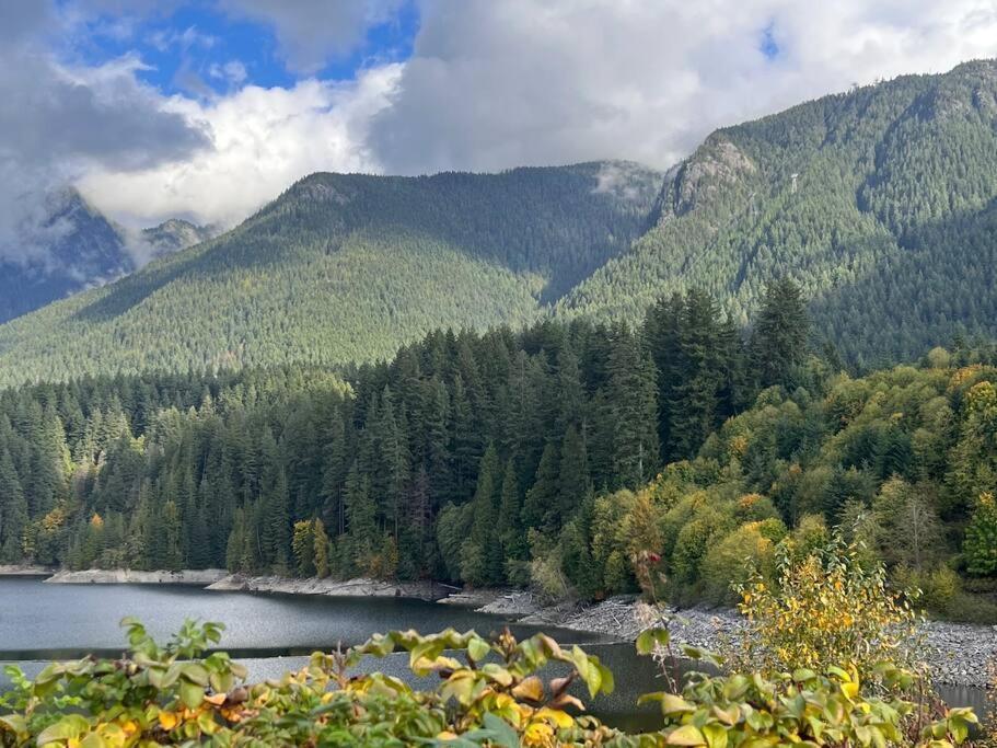 'Canyon Heights' Retreat North Vancouver Buitenkant foto