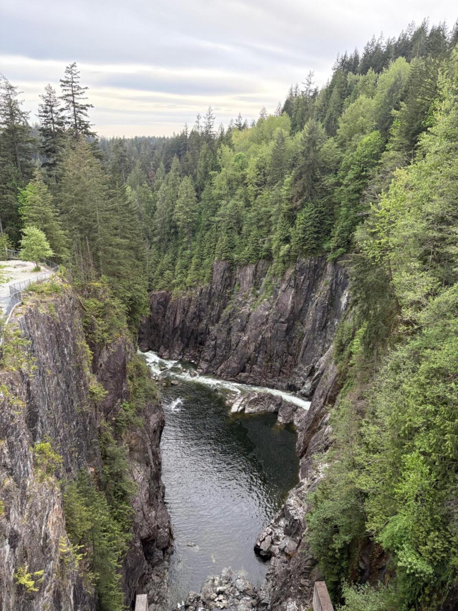 'Canyon Heights' Retreat North Vancouver Buitenkant foto